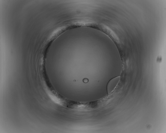 X0000097670163200803142202