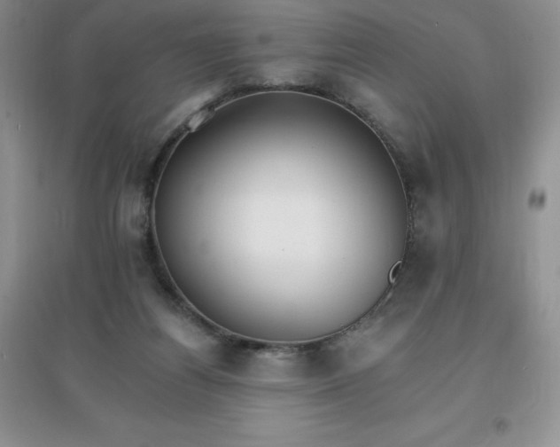 X0000097670164200803142202