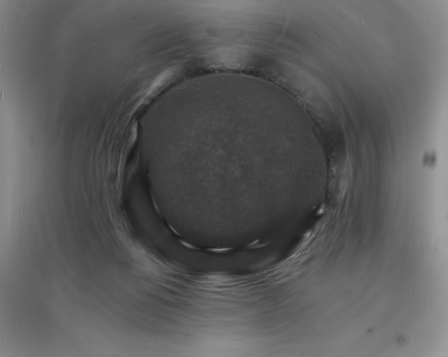 X0000097670168200803142202