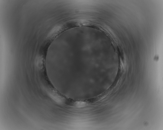 X0000097670169200803142202