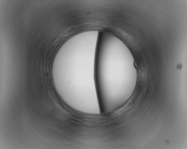 X0000097670170200803142203
