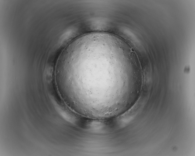 X0000097670171200803142203