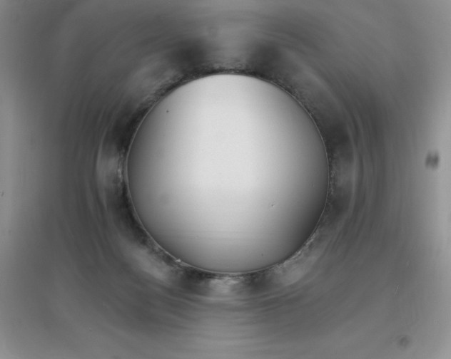 X0000097670172200803142203