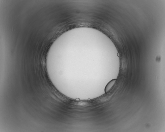 X0000097670173200803142203