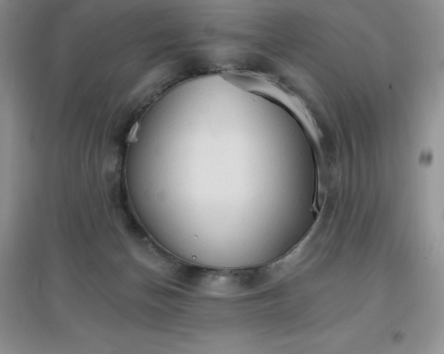 X0000097670174200803142203