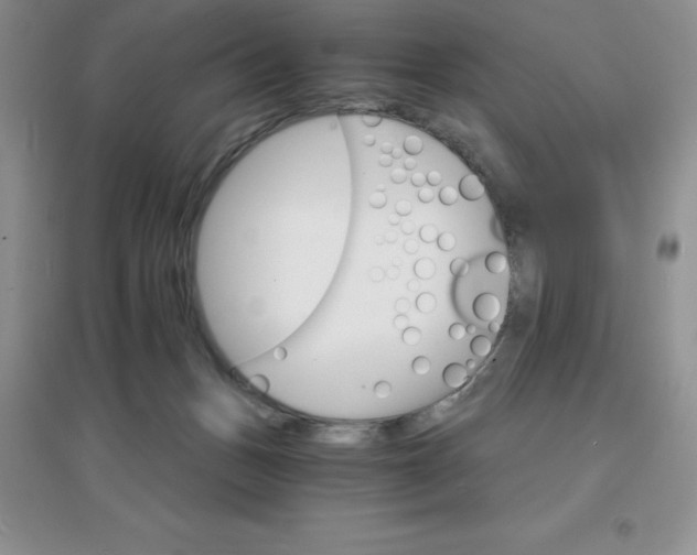 X0000097670175200803142203