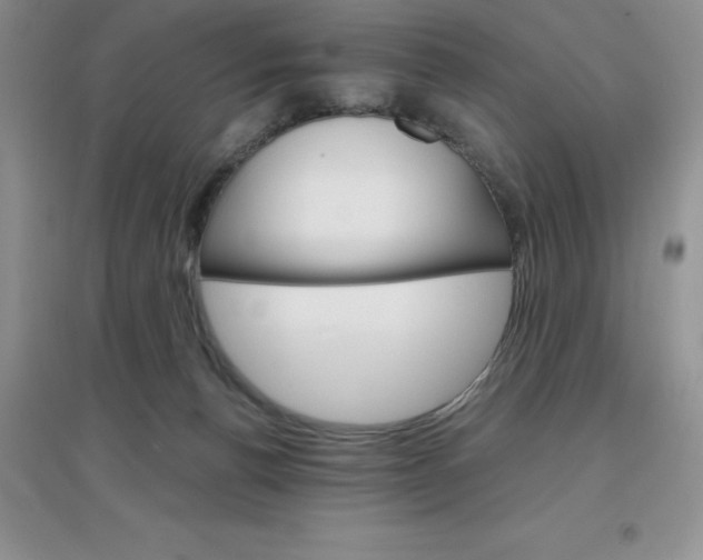 X0000097670176200803142203