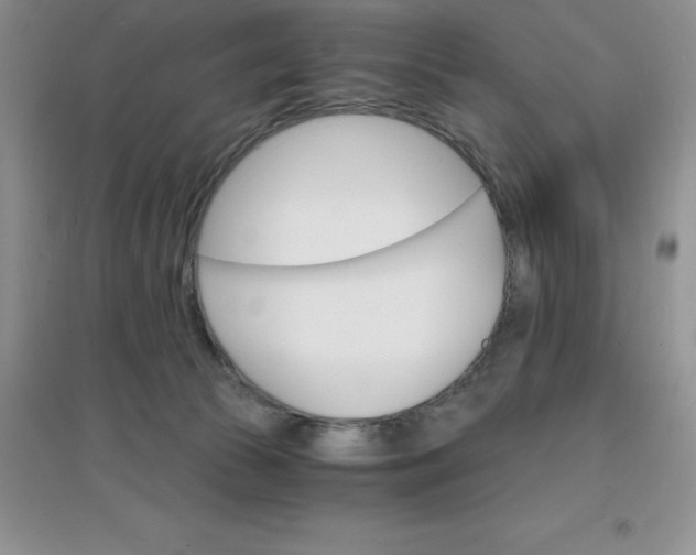 X0000097670177200803142203