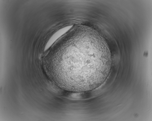X0000097670178200803142203