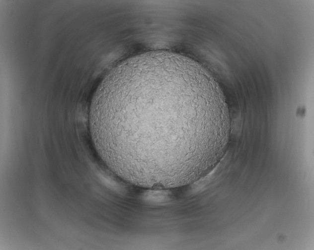 X0000097670179200803142203