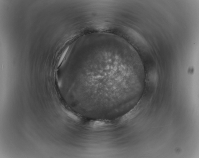 X0000097670180200803142203