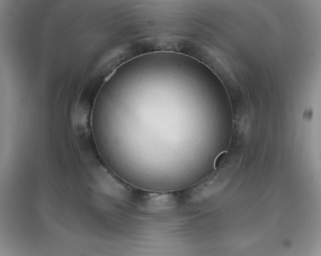X0000097670185200803142203