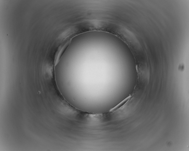 X0000097670188200803142203