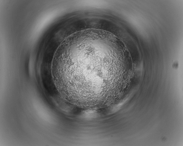 X0000097670189200803142203