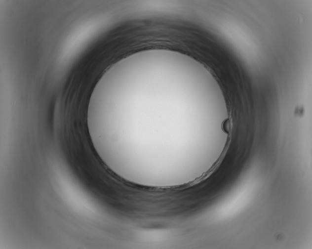 X0000097670190200803142203