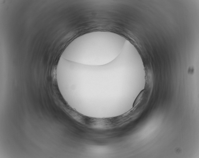 X0000097670191200803142203