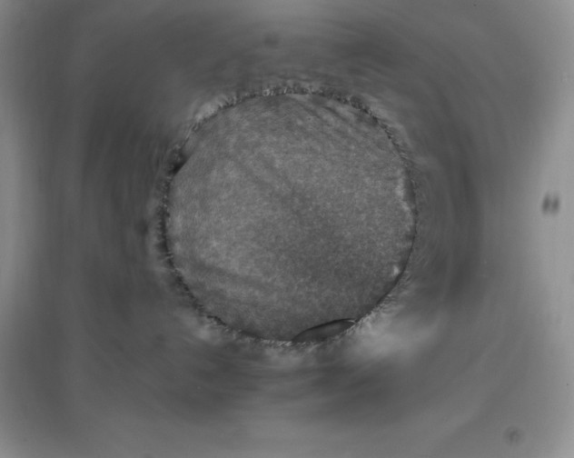 X0000097670192200803142203