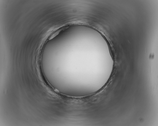 X0000097670193200803142202