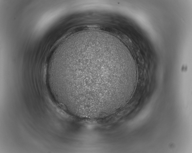 X0000097670194200803142202