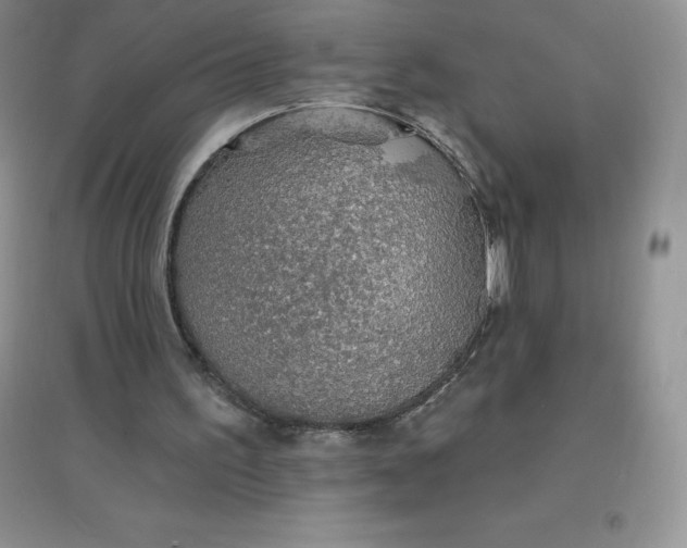 X0000097670195200803142202