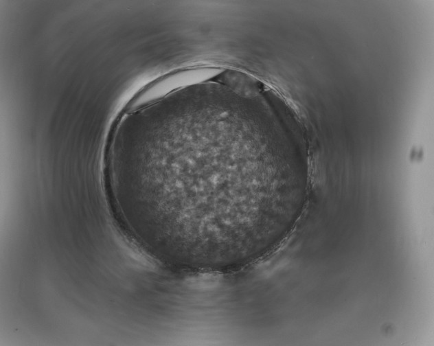 X0000097670196200803142202