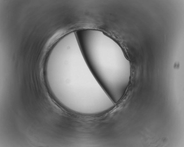 X0000097670197200803142202
