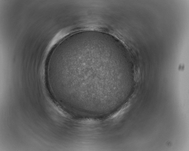 X0000097670198200803142202