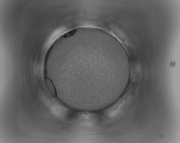 X0000097670199200803142202