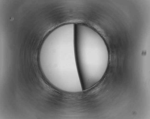 X0000097670201200803142202