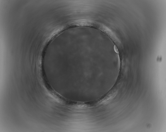 X0000097670202200803142202