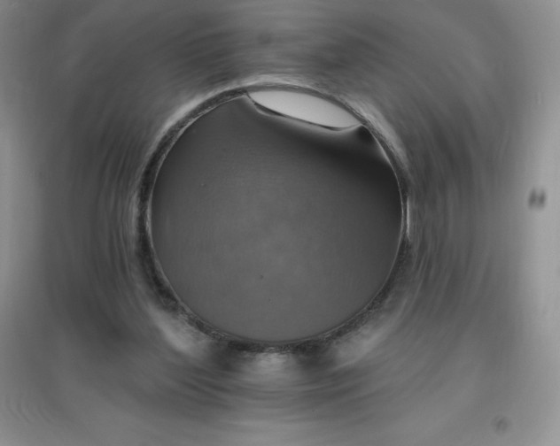 X0000097670204200803142202