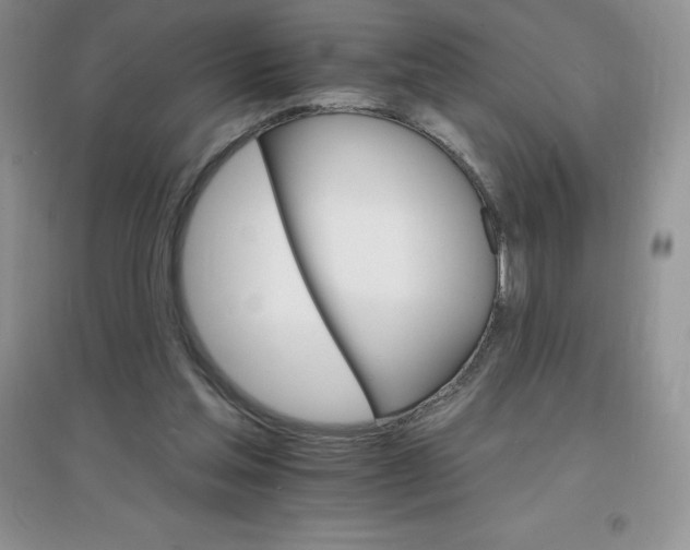 X0000097670205200803142202