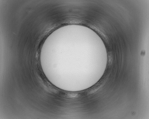 X0000097670206200803142202