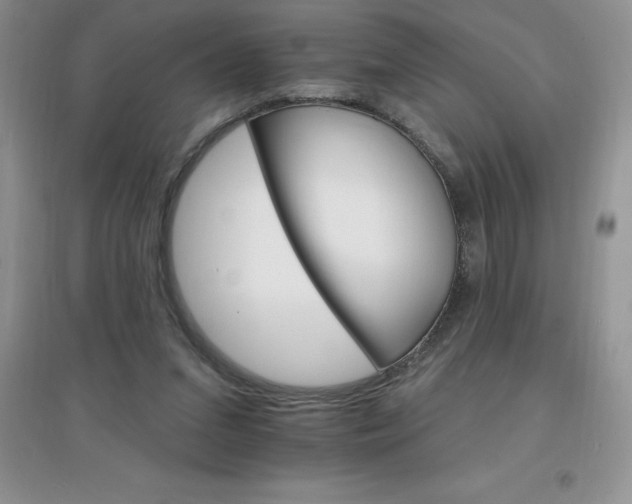 X0000097670207200803142202