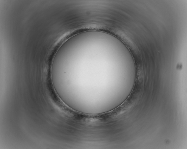 X0000097670208200803142202