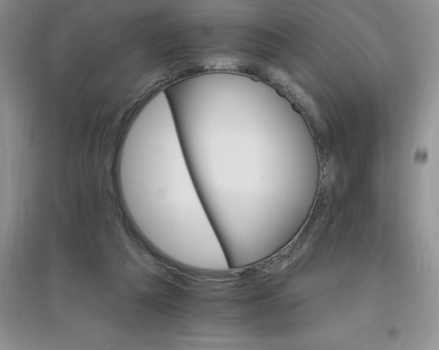 X0000097670209200803142202