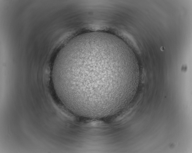 X0000097670210200803142202