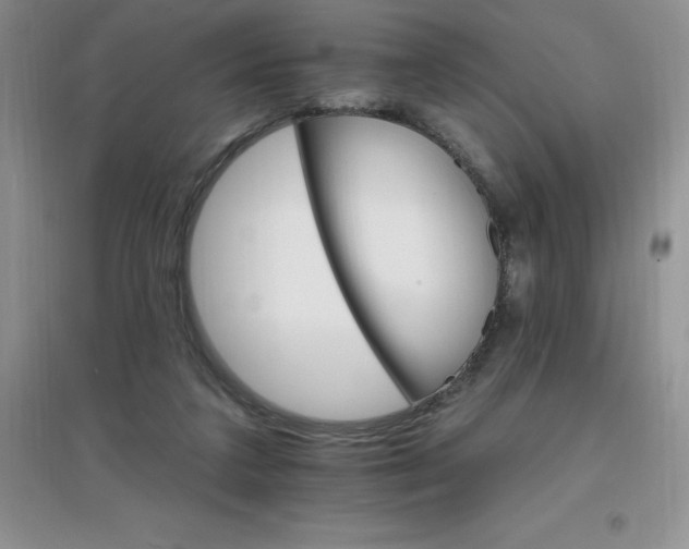 X0000097670211200803142202