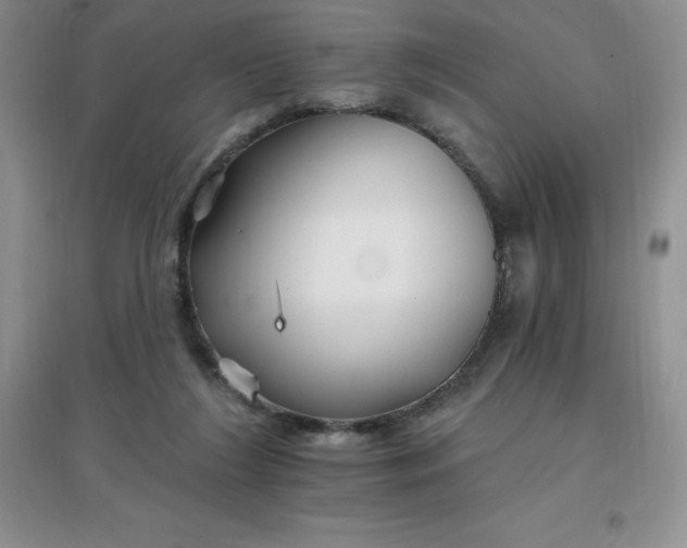X0000097670212200803142202