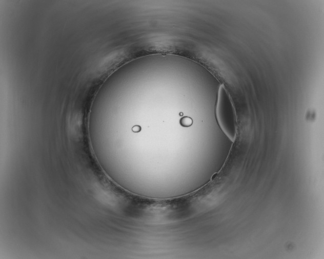 X0000097670213200803142202