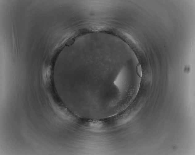 X0000097670214200803142202