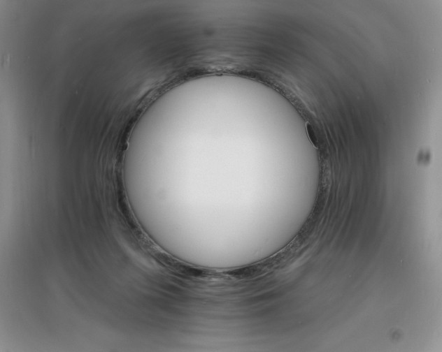 X0000097670215200803142202