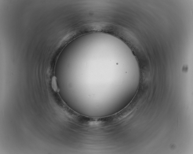 X0000097670216200803142202