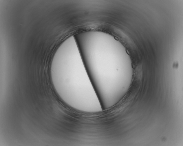 X0000097670217200803142202