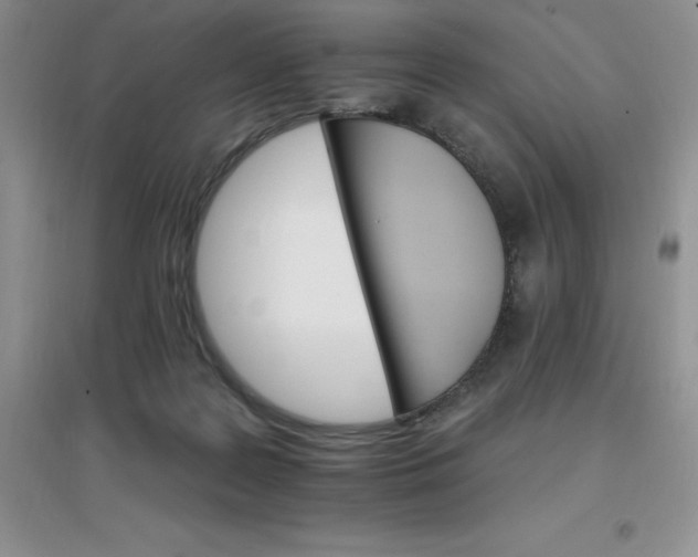 X0000097670219200803142202