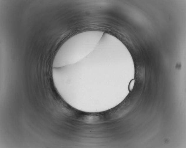 X0000097670220200803142202