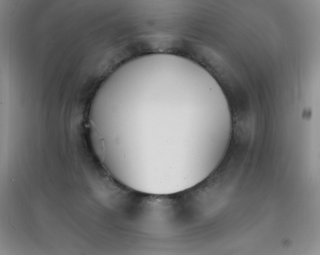 X0000097670221200803142202