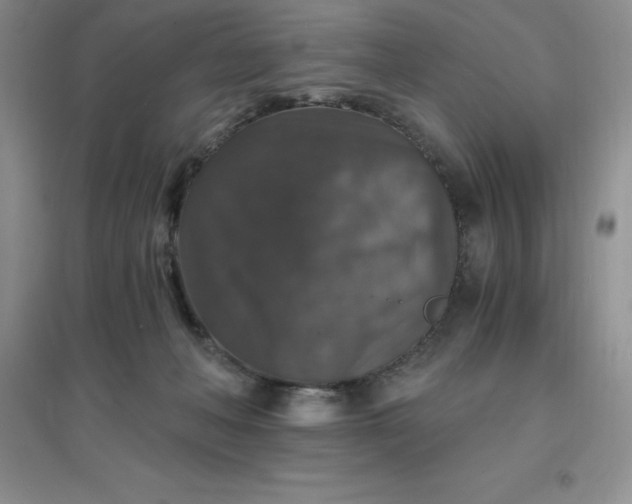 X0000097670222200803142202