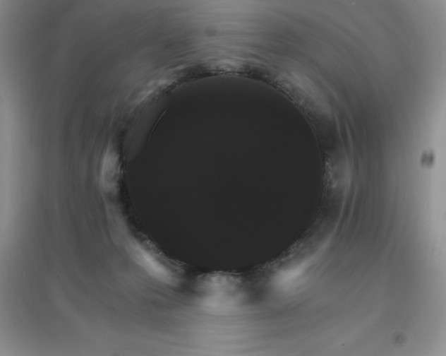 X0000097670223200803142202