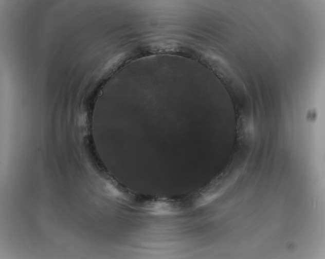 X0000097670224200803142202